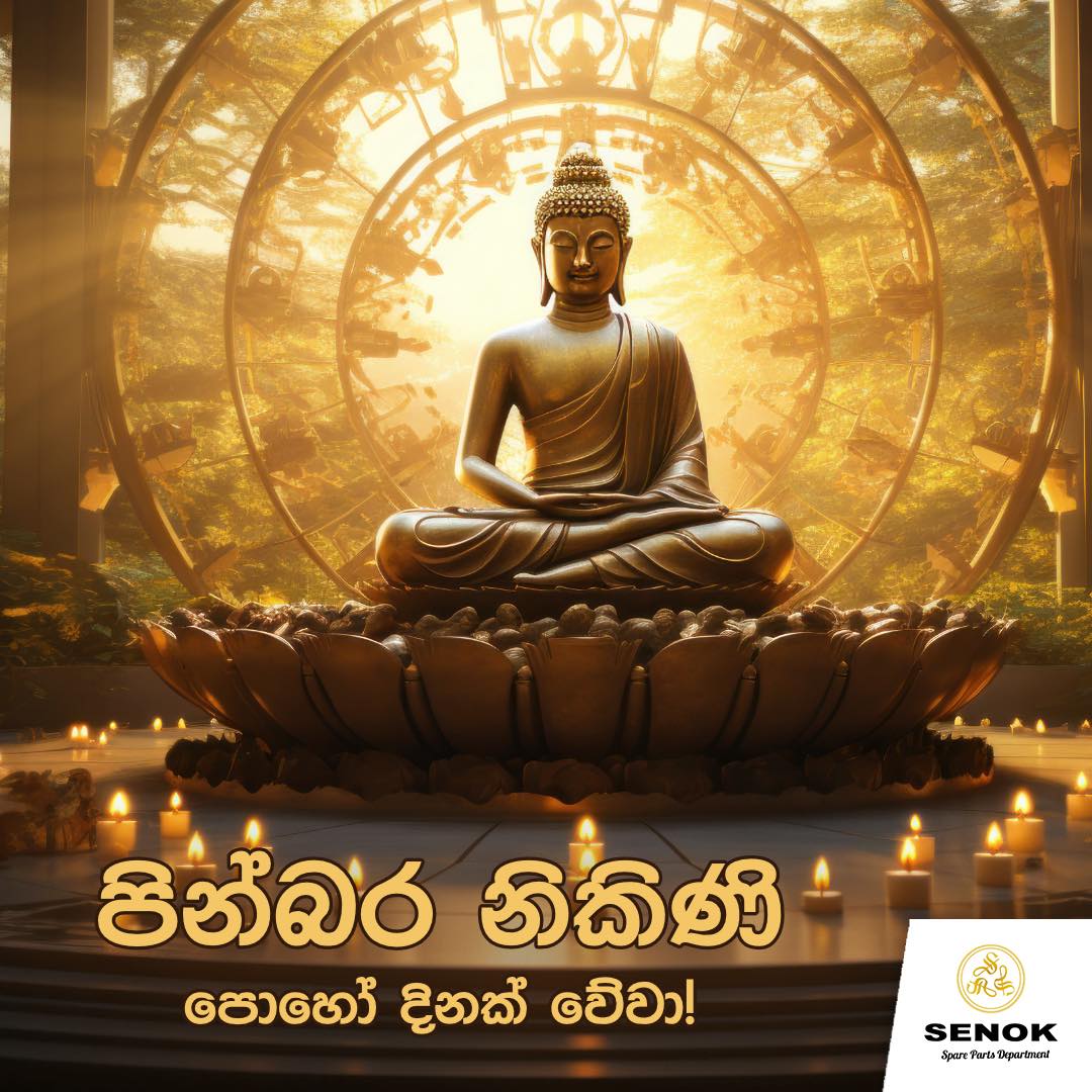 529356282_1294556886006597_6684355946913514777_n